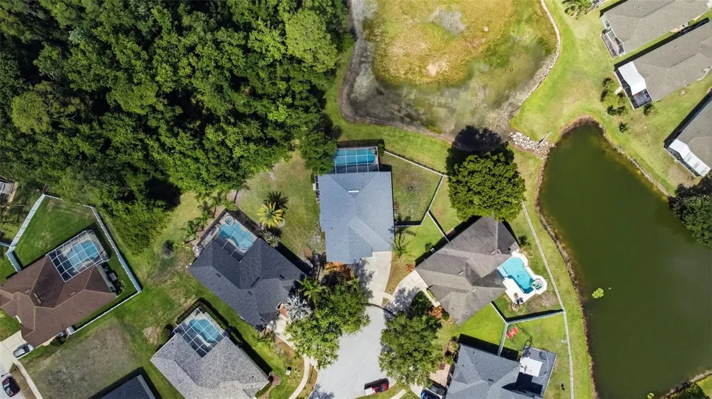 25540 Risen Star Drive Wesley Chapel FL 33544