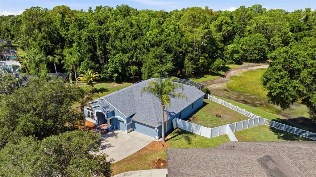 25540 Risen Star Drive Wesley Chapel FL 33544