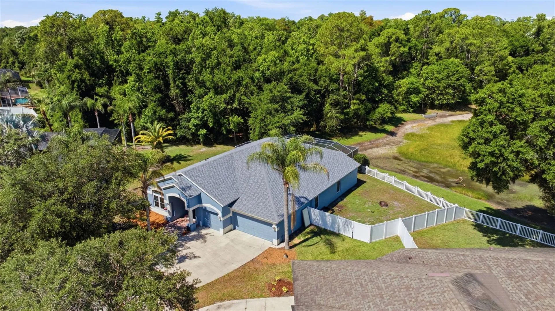 25540 Risen Star Drive Wesley Chapel FL 33544