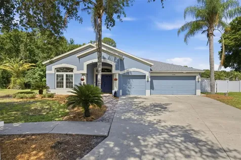 25540 Risen Star Drive Wesley Chapel FL 33544