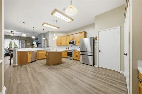 25540 Risen Star Drive Wesley Chapel FL 33544