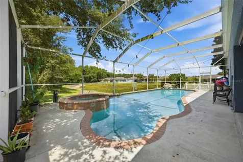 25540 Risen Star Drive Wesley Chapel FL 33544