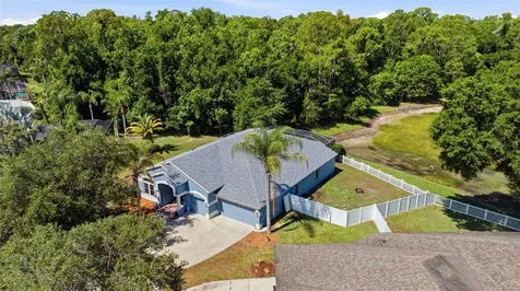 25540 Risen Star Drive Wesley Chapel FL 33544