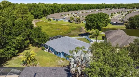 25540 Risen Star Drive Wesley Chapel FL 33544