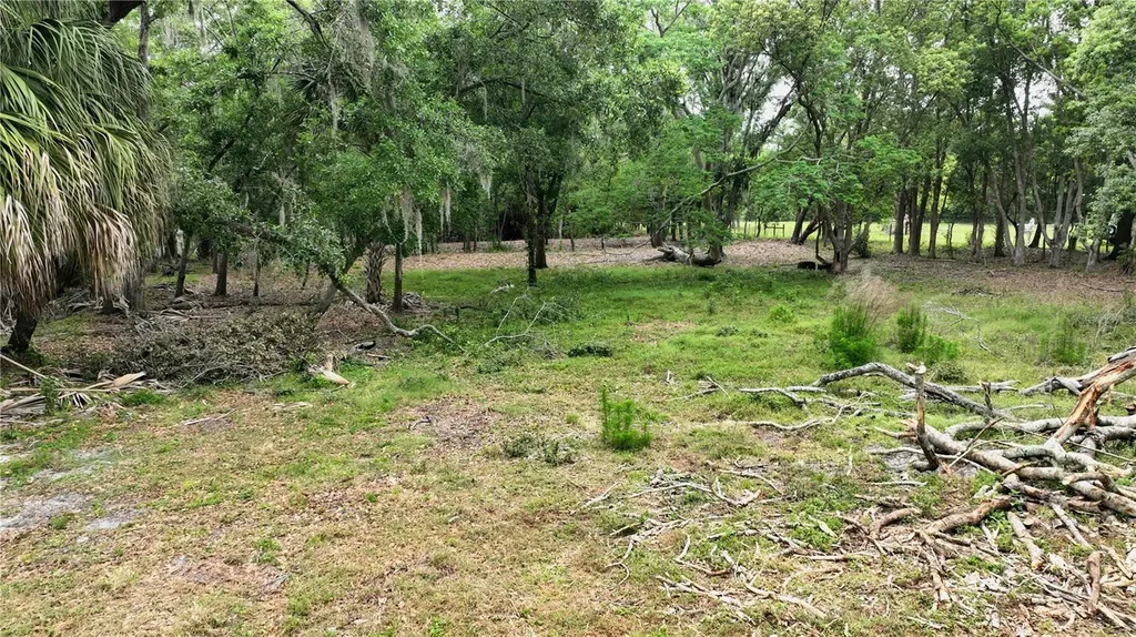 Old Cone Grove Road Riverview FL 33578