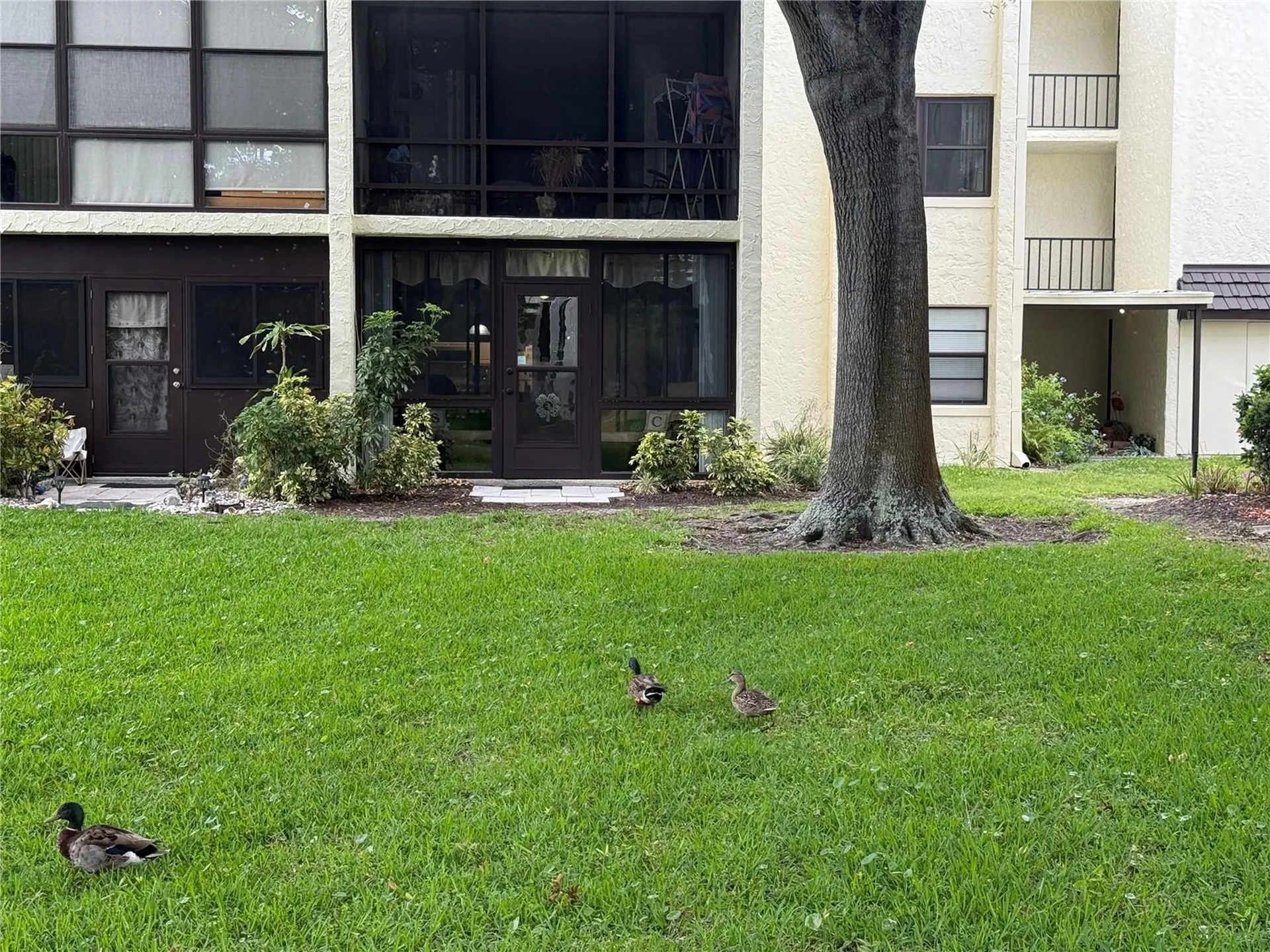 14130 Rosemary Lane Largo FL 33774