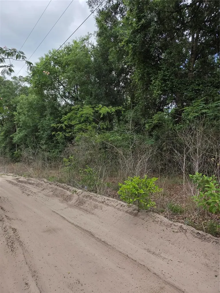 Unit 17 SE 142 Place Summerfield FL 34491