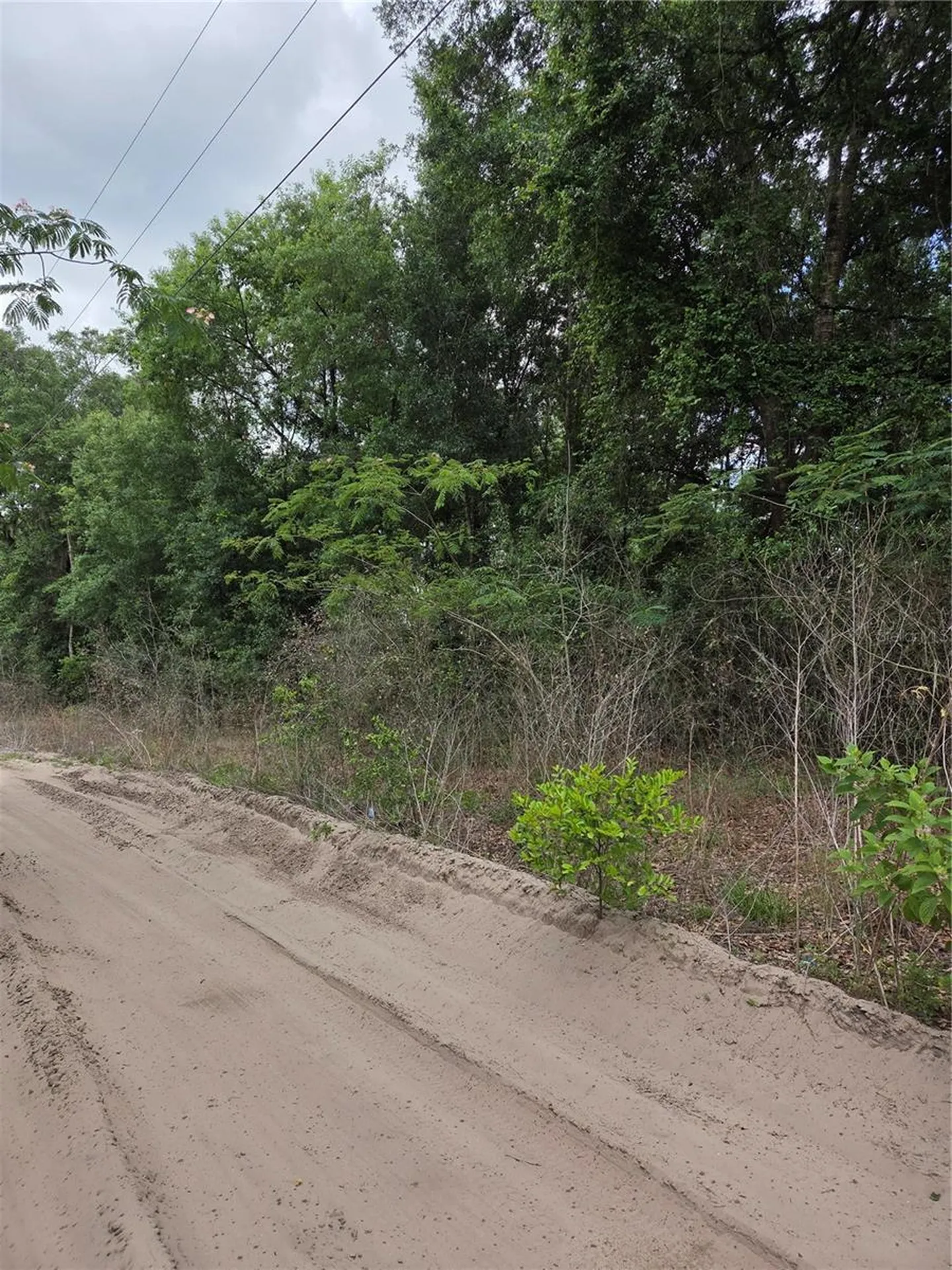 Unit 17 SE 142 Place Summerfield FL 34491