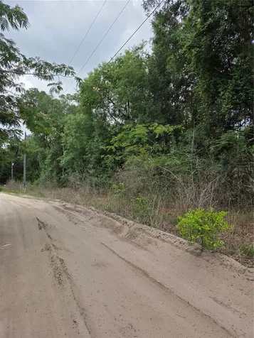 Unit 17 SE 142 Place Summerfield FL 34491