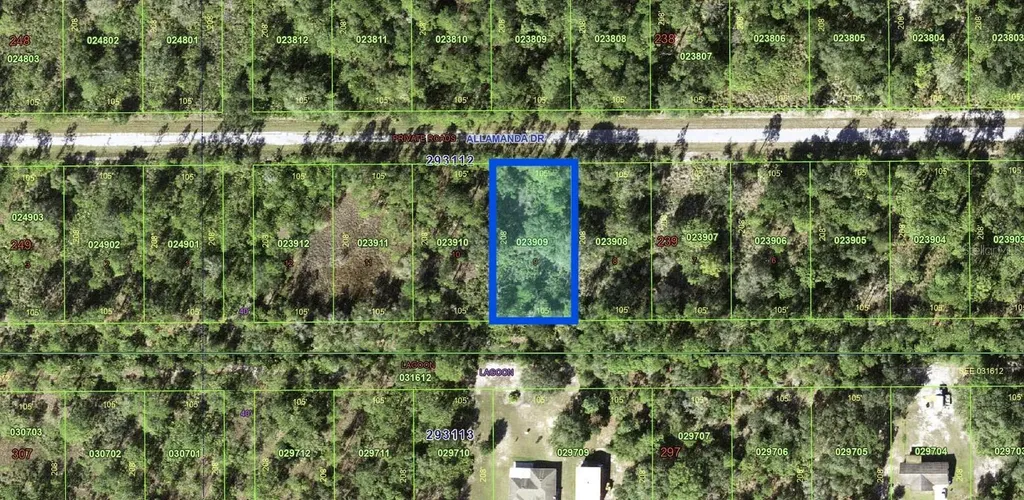 Allamanda Drive Indian Lake Estates FL 33855
