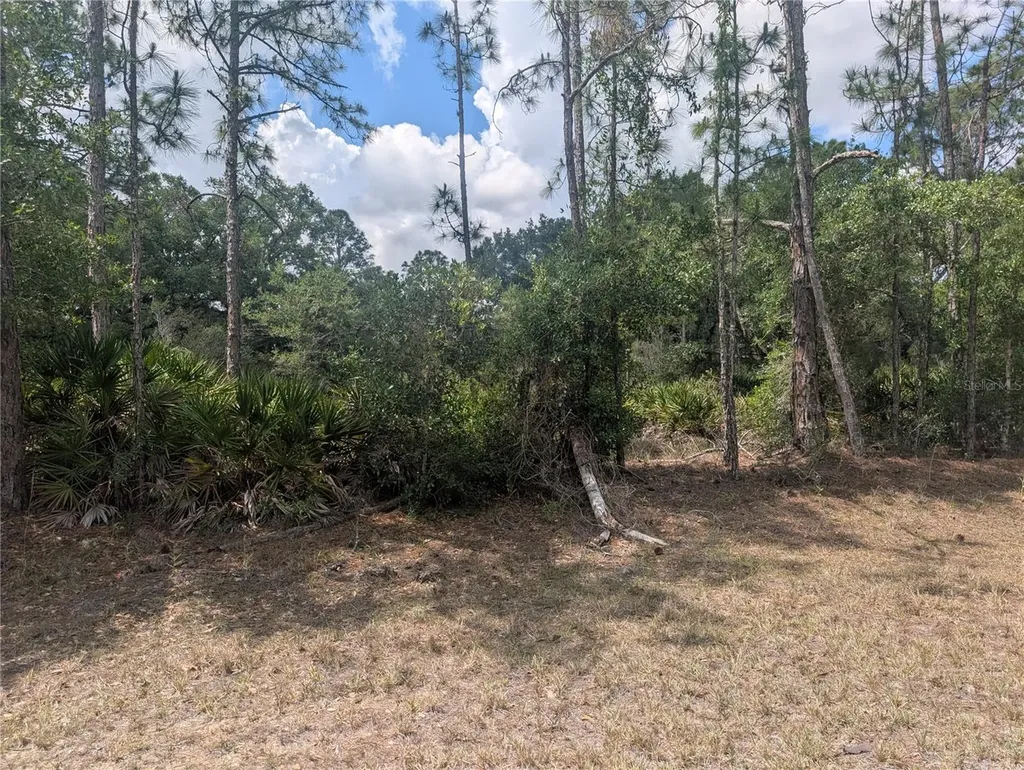 Allamanda Drive Indian Lake Estates FL 33855