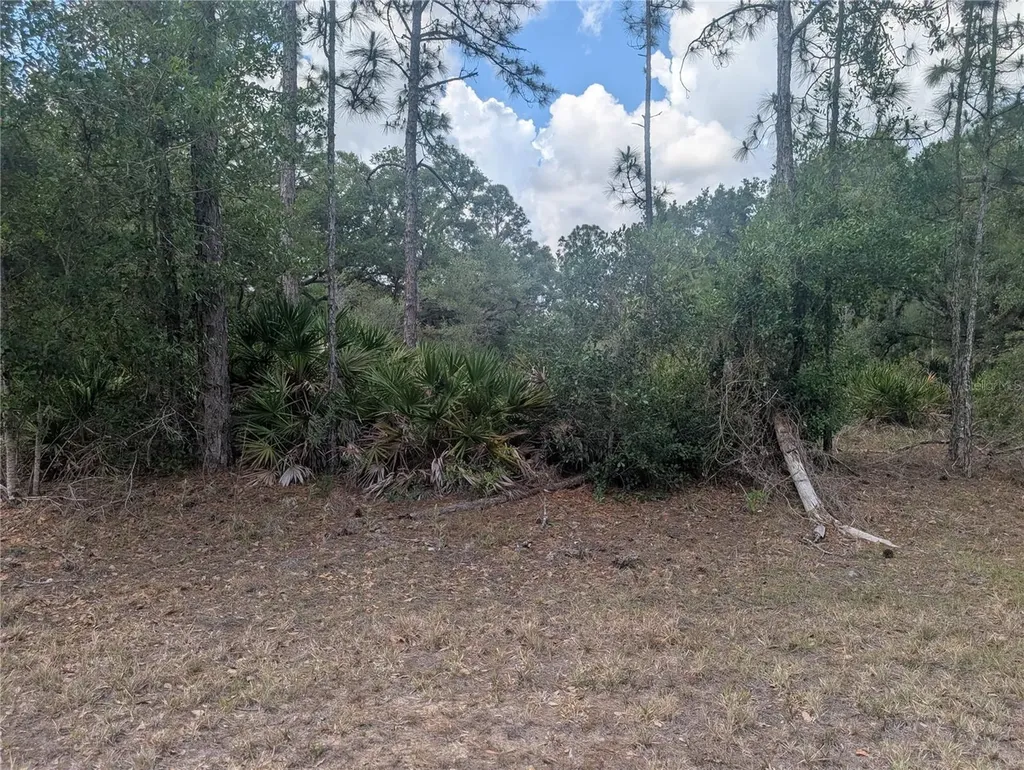 Allamanda Drive Indian Lake Estates FL 33855