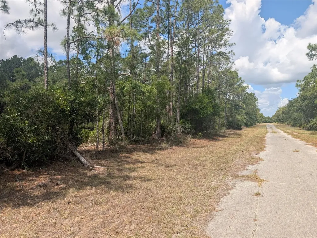Allamanda Drive Indian Lake Estates FL 33855
