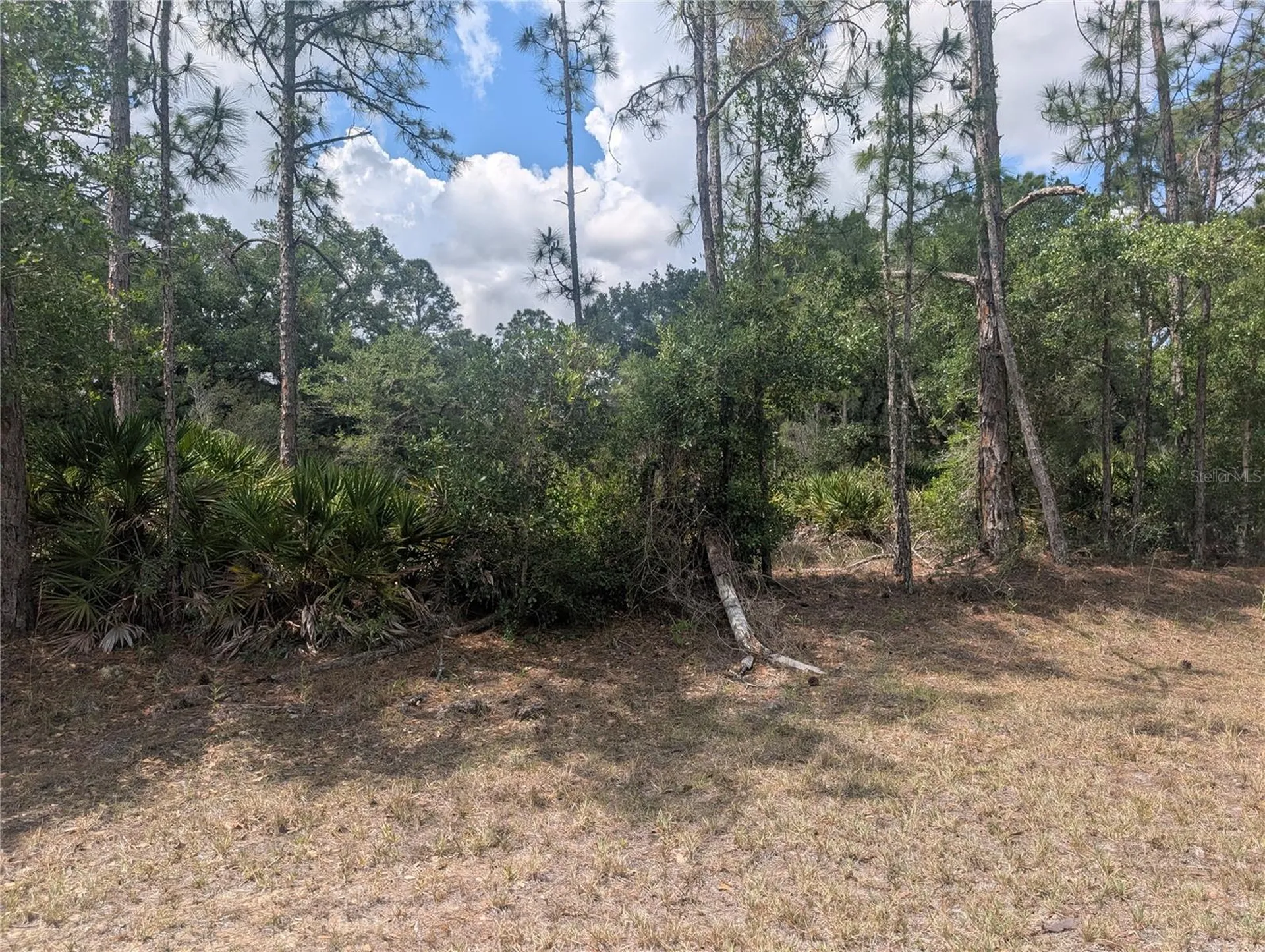 Allamanda Drive Indian Lake Estates FL 33855