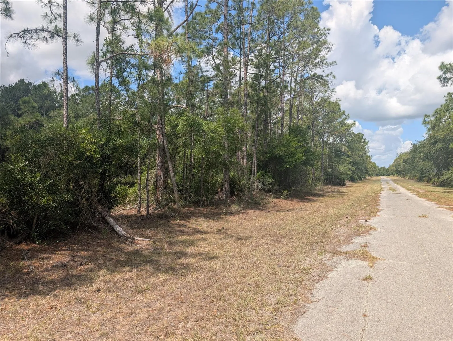 Allamanda Drive Indian Lake Estates FL 33855