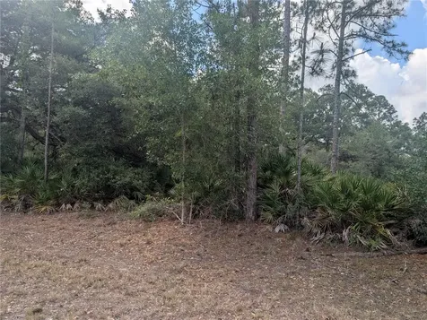 Allamanda Drive Indian Lake Estates FL 33855