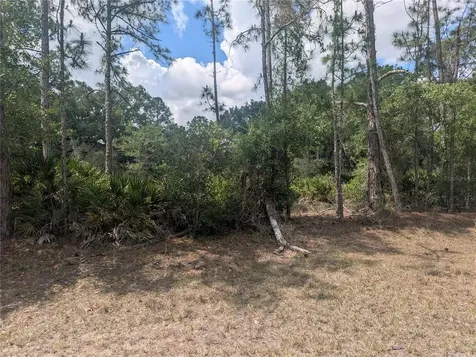 Allamanda Drive Indian Lake Estates FL 33855