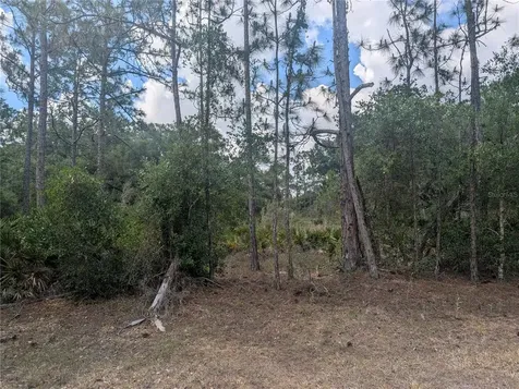 Allamanda Drive Indian Lake Estates FL 33855
