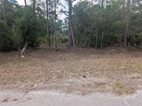Allamanda Drive Indian Lake Estates FL 33855