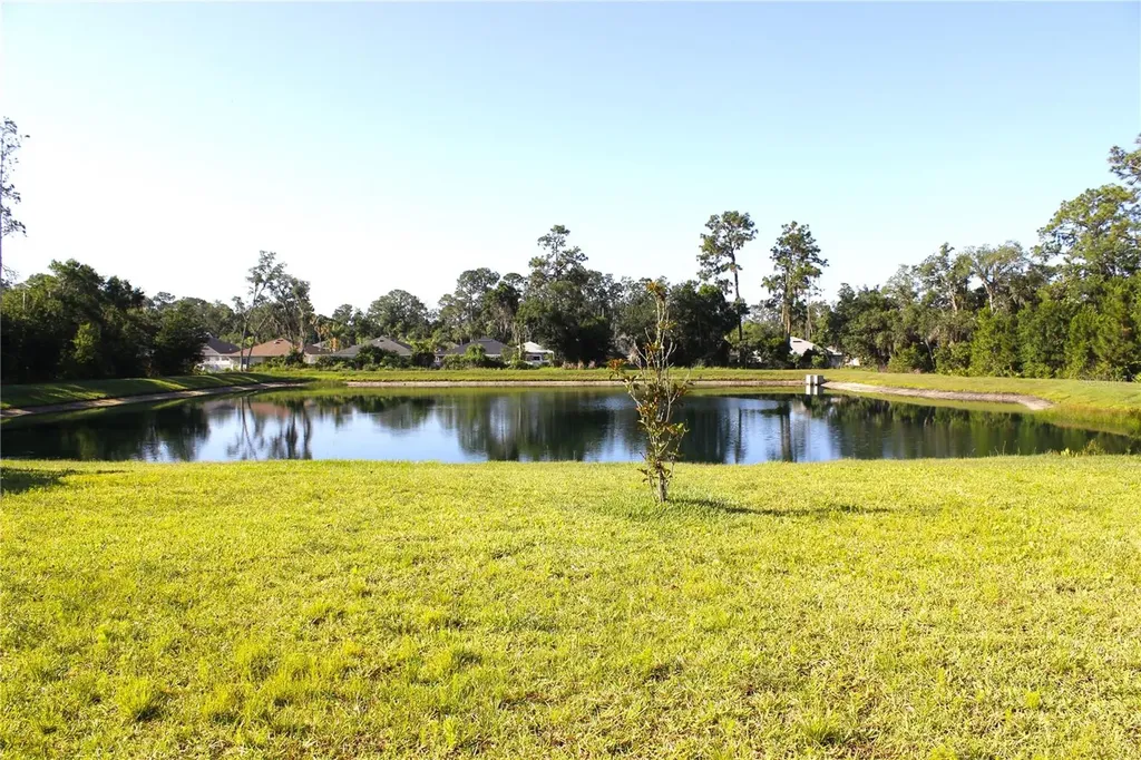 30600 Thunderbird Drive Wesley Chapel FL 33545