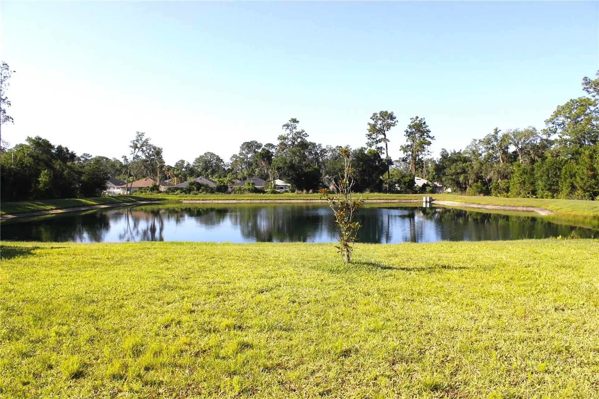 30600 Thunderbird Drive Wesley Chapel FL 33545