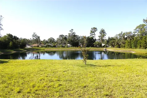 30600 Thunderbird Drive Wesley Chapel FL 33545