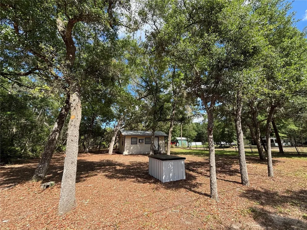 317 NE 172nd Avenue Silver Springs FL 34488