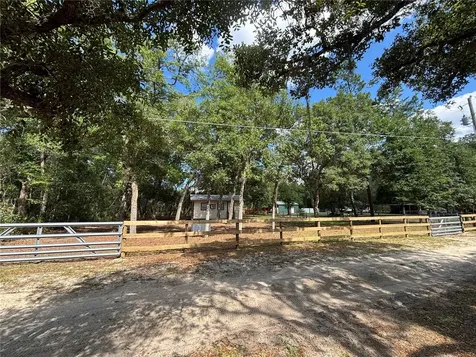317 NE 172nd Avenue Silver Springs FL 34488