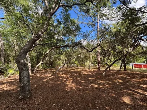 317 NE 172nd Avenue Silver Springs FL 34488