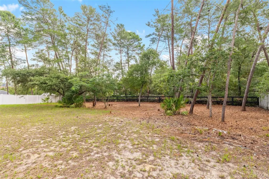 10877 SW 45th Court Ocala FL 34476