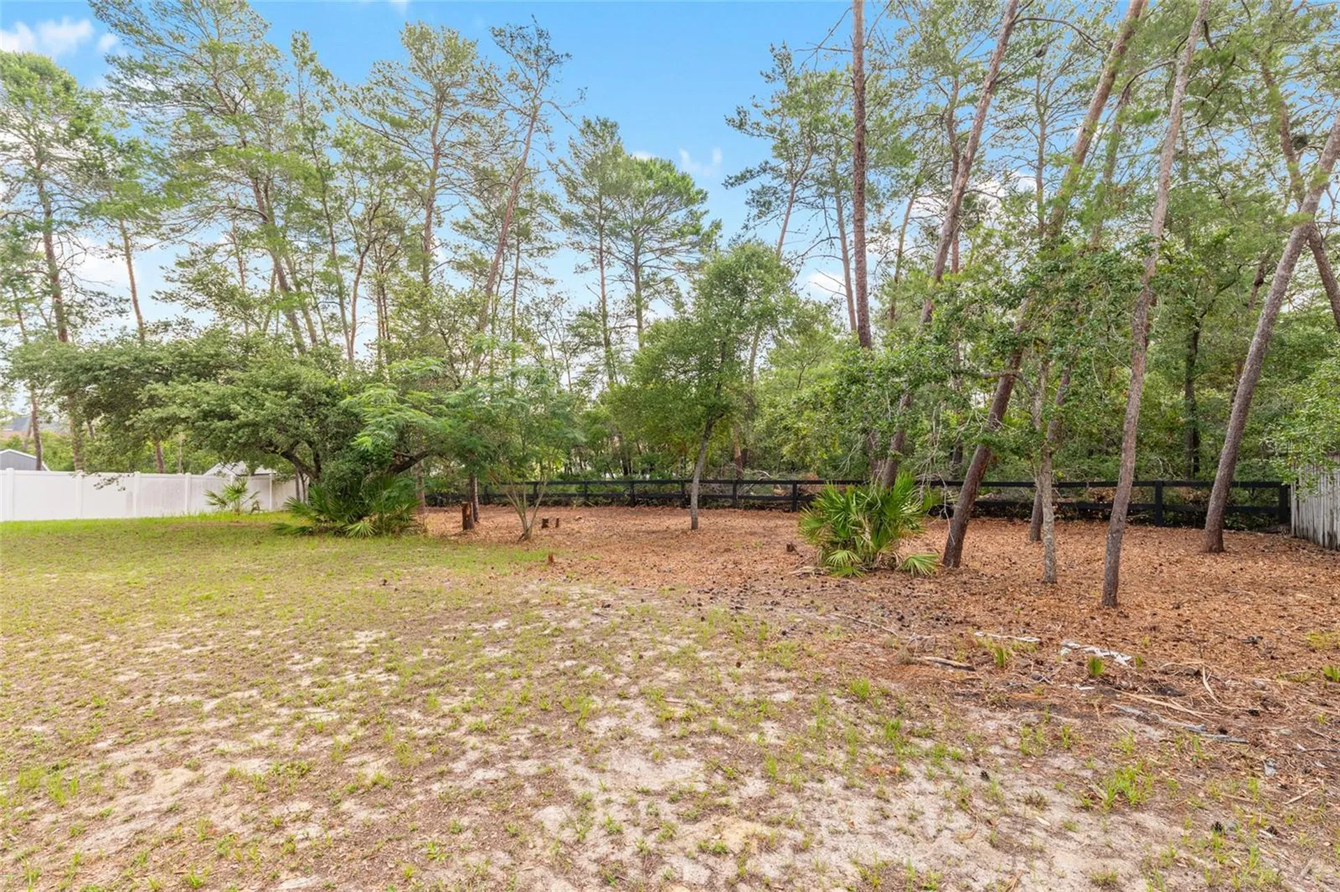 10877 SW 45th Court Ocala FL 34476