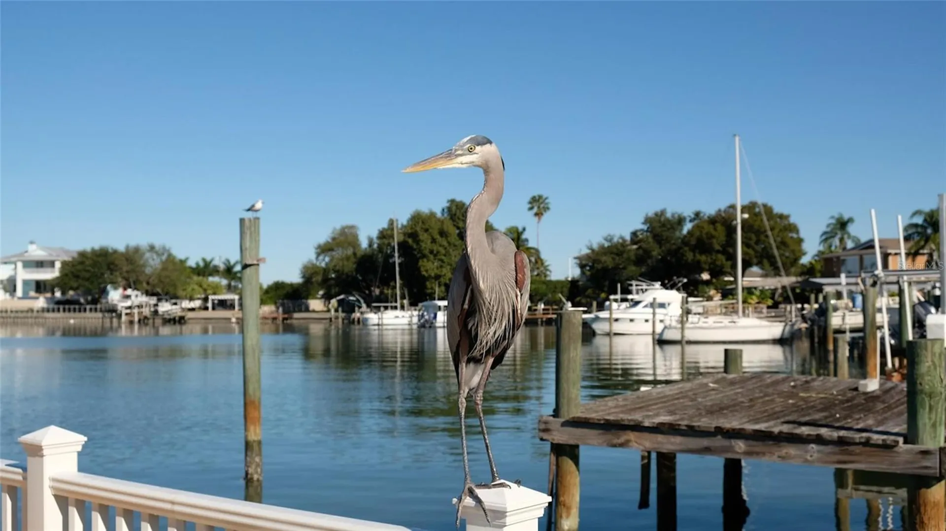 8272 127th Street Seminole FL 33776