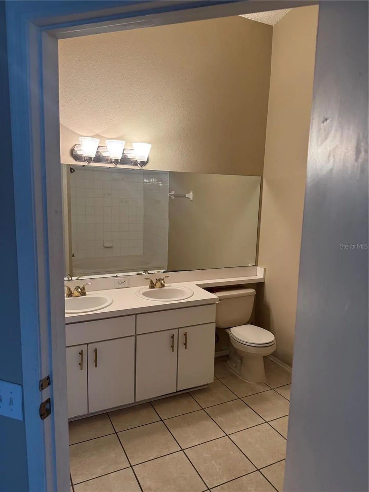 30059 Granda Hills Court Wesley Chapel FL 33543