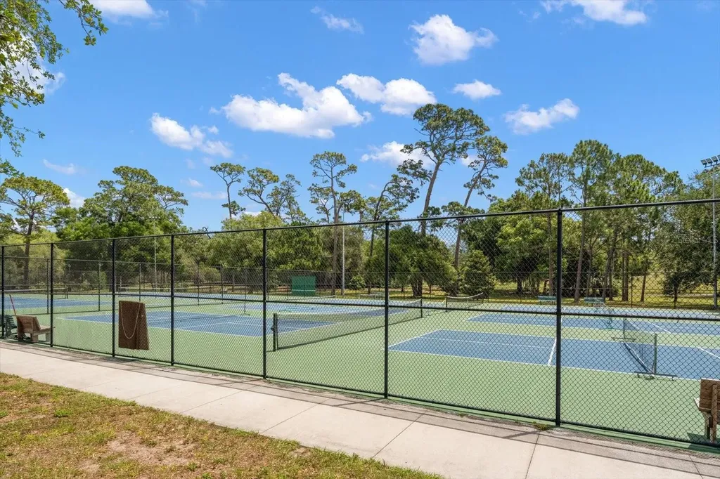 498 Lakeview Drive Palm Harbor FL 34683