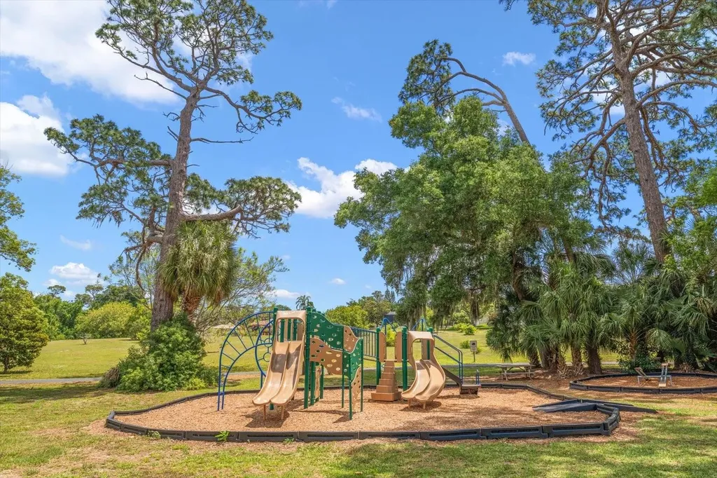 498 Lakeview Drive Palm Harbor FL 34683