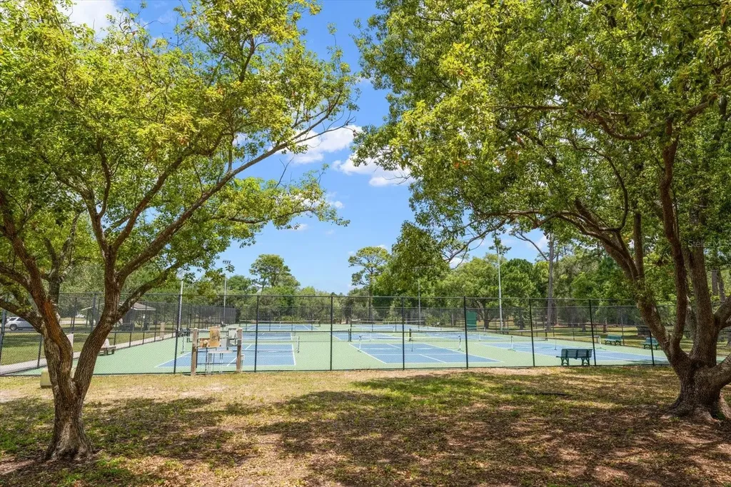 498 Lakeview Drive Palm Harbor FL 34683
