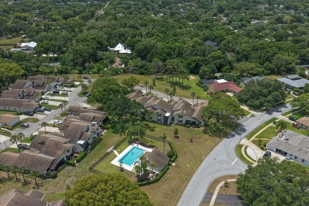 498 Lakeview Drive Palm Harbor FL 34683