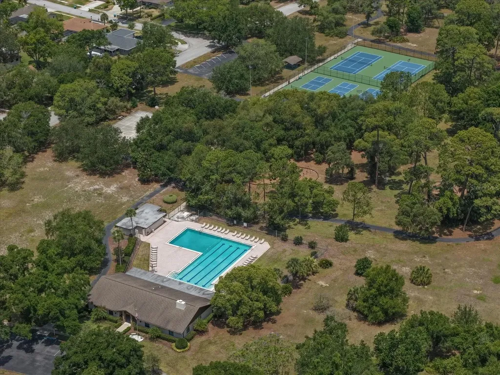 498 Lakeview Drive Palm Harbor FL 34683