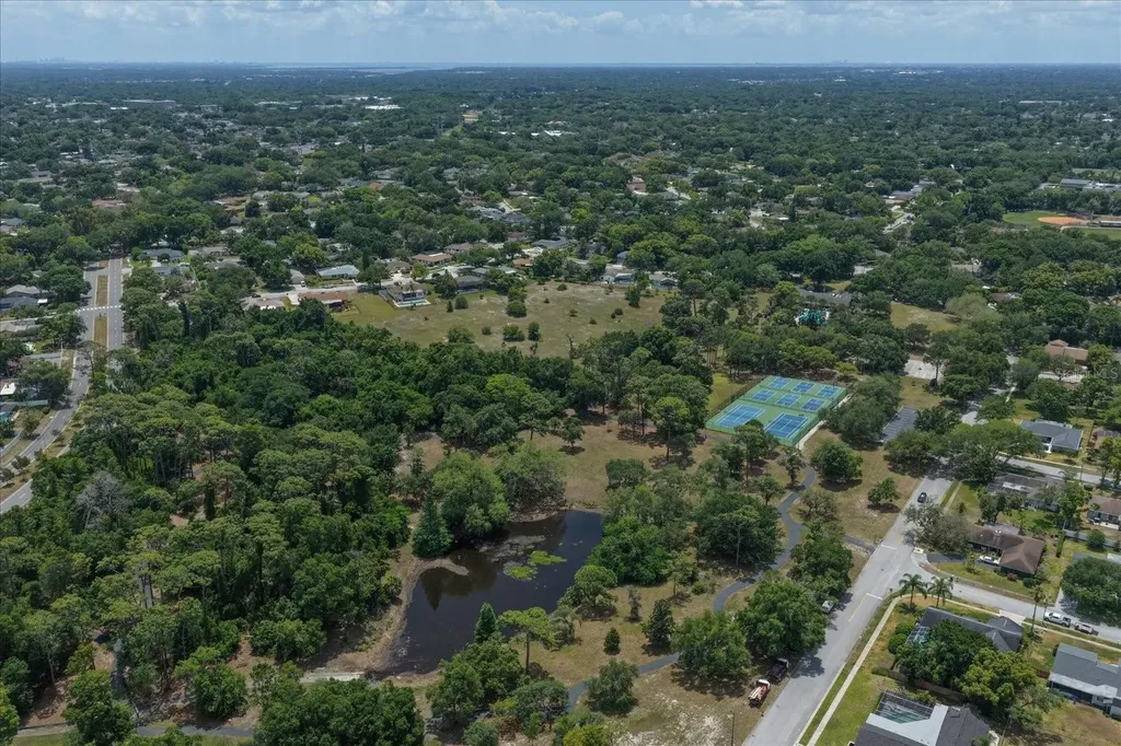 498 Lakeview Drive Palm Harbor FL 34683