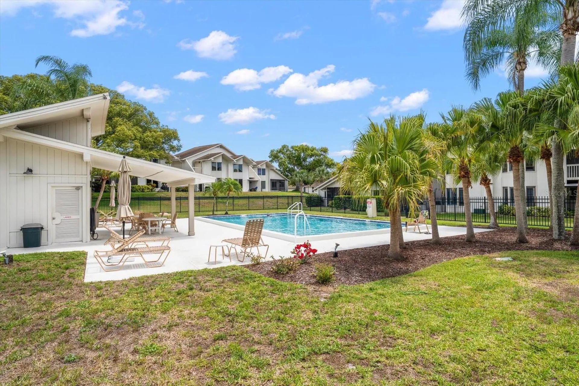 498 Lakeview Drive Palm Harbor FL 34683