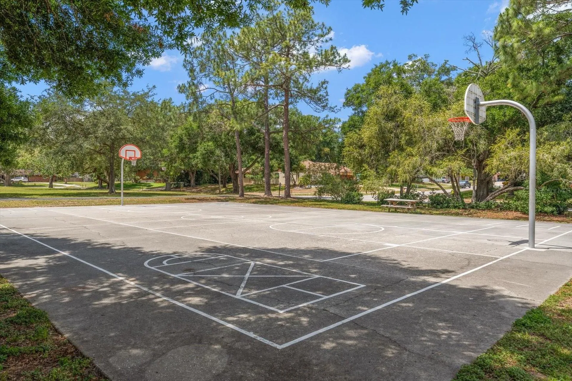 498 Lakeview Drive Palm Harbor FL 34683