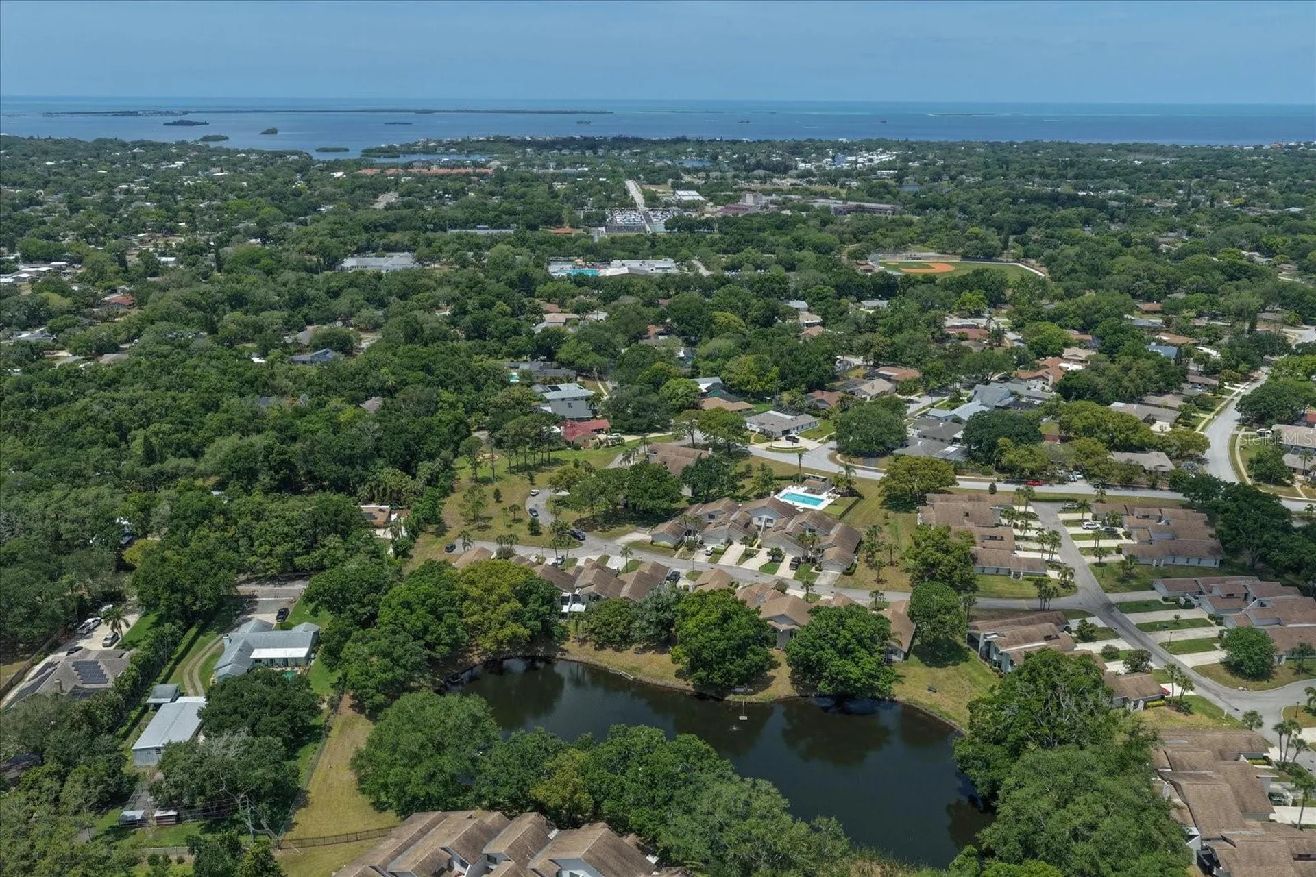 498 Lakeview Drive Palm Harbor FL 34683