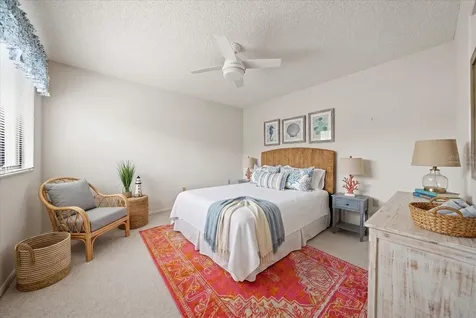 498 Lakeview Drive Palm Harbor FL 34683