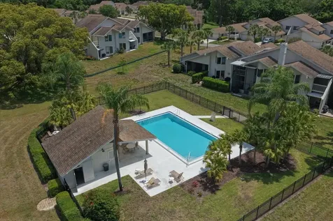498 Lakeview Drive Palm Harbor FL 34683