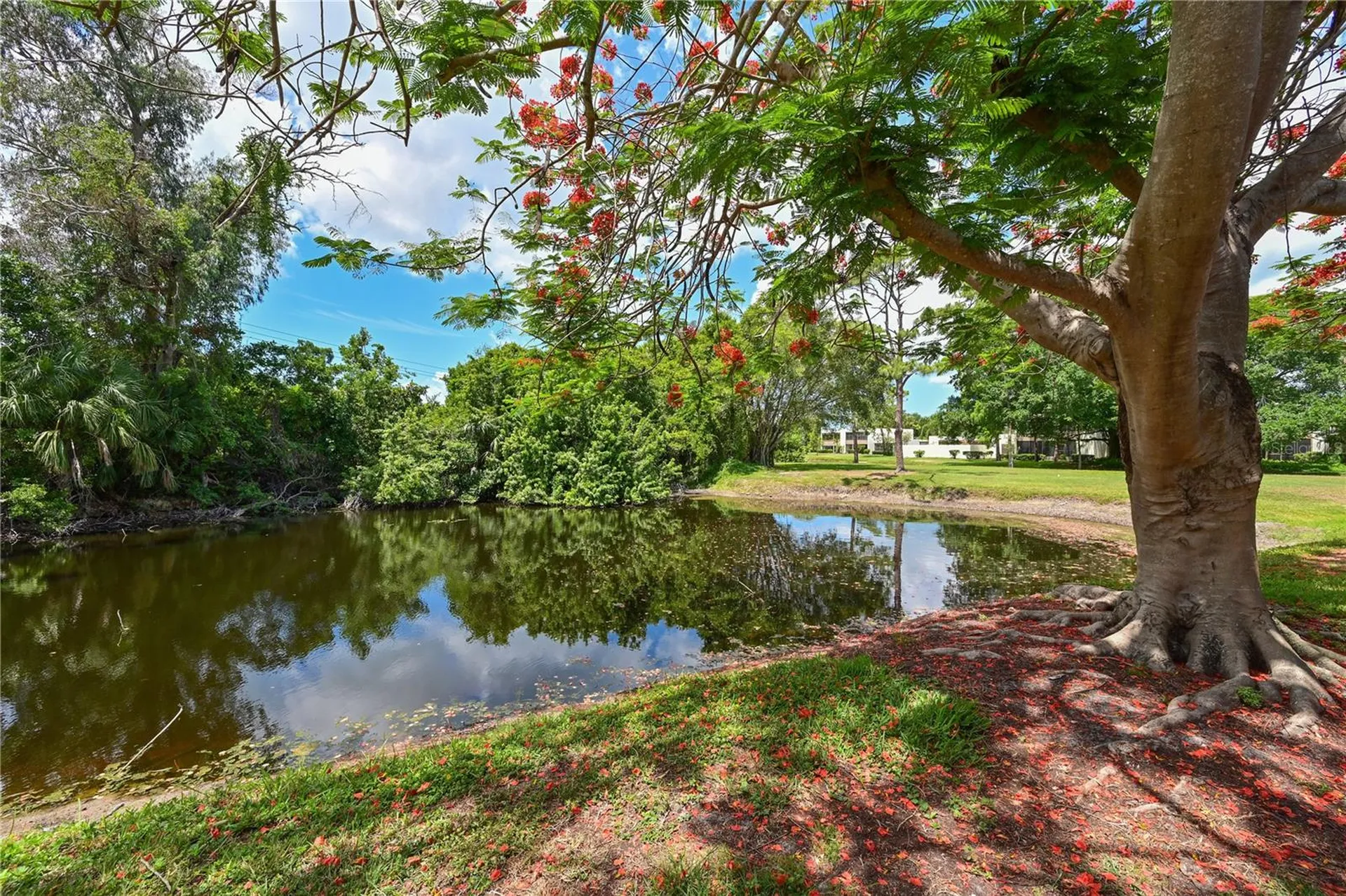 609 Woodlawn Drive Bradenton FL 34210