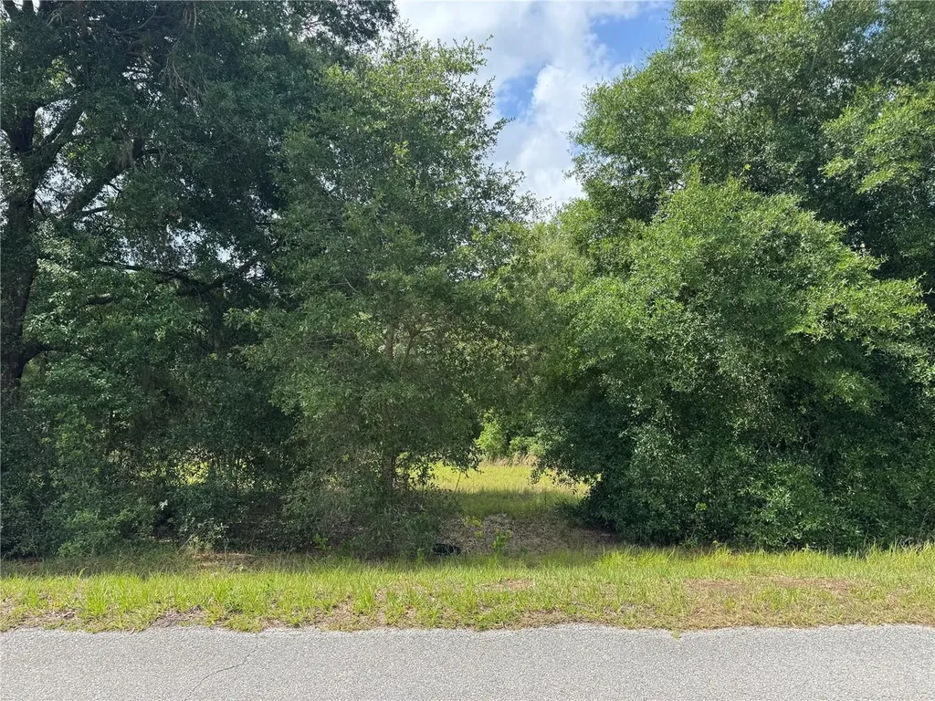 Tbd Keene Road Altoona FL 32702