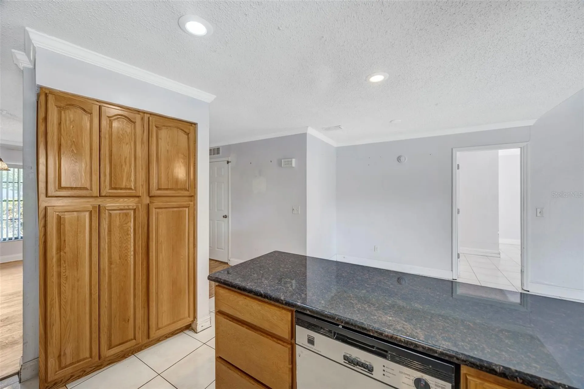 15804 Ironware Place Tampa FL 33624