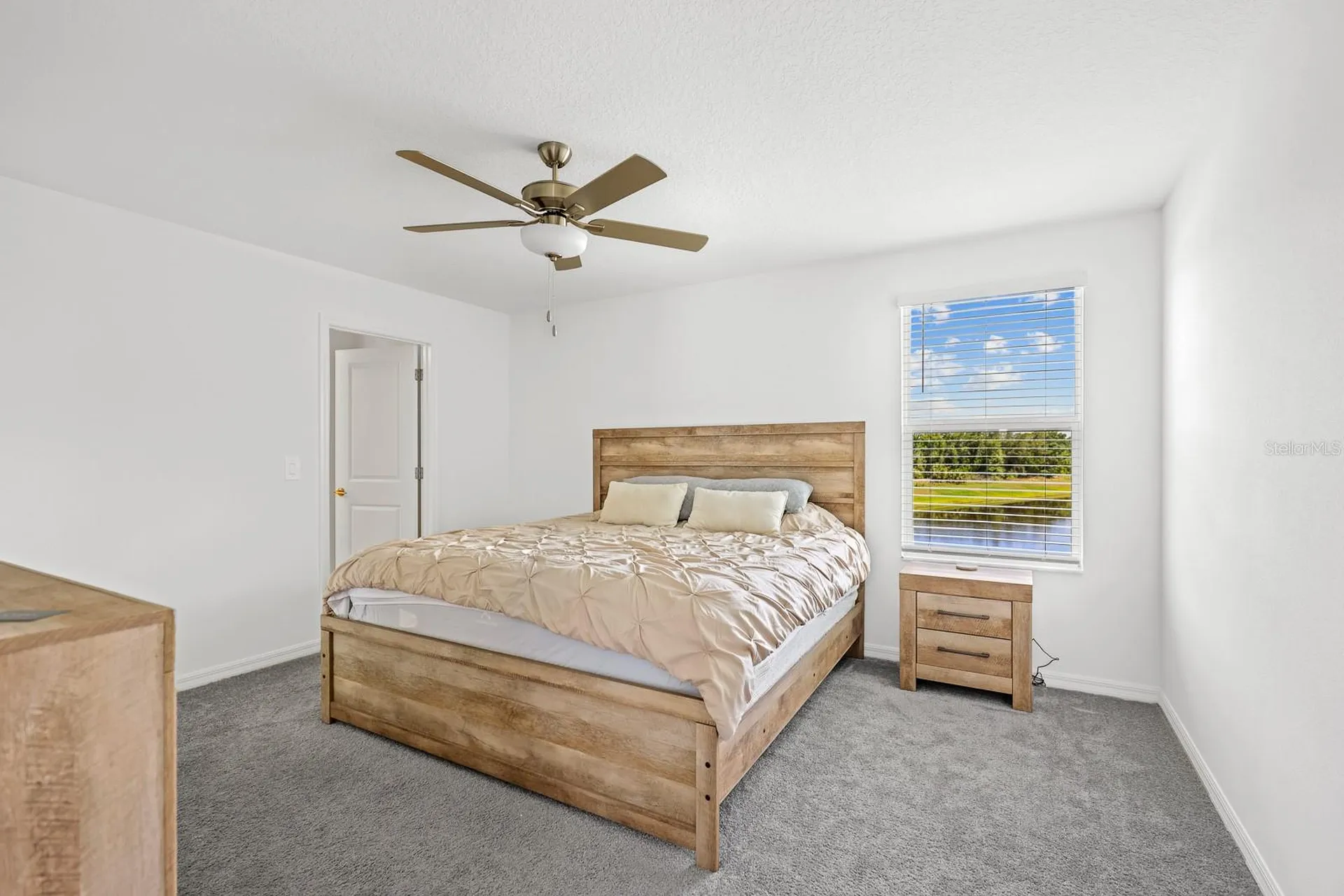 13337 Woodworth Way Riverview FL 33579
