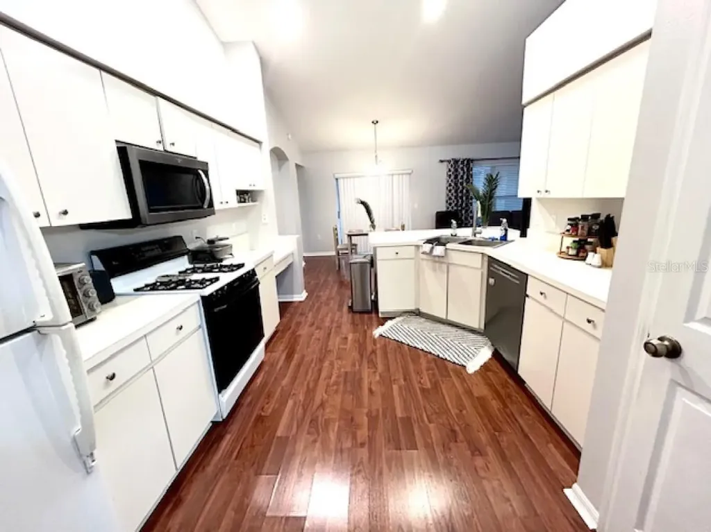 1135 Big Sky Drive Wesley Chapel FL 33543