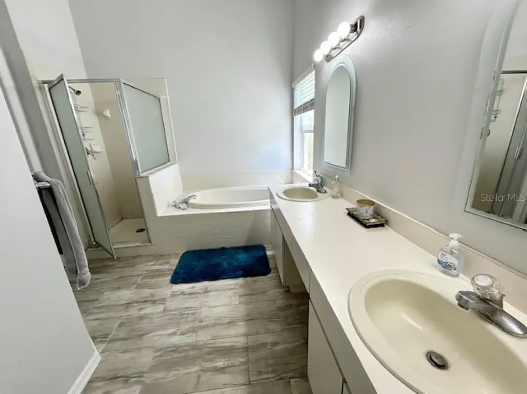 1135 Big Sky Drive Wesley Chapel FL 33543